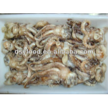 Squid Tentacles Price